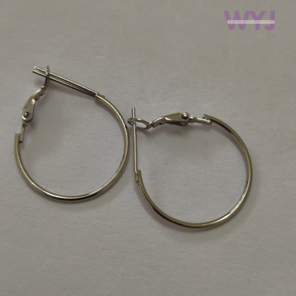 Classic Silver Hoop Earrings