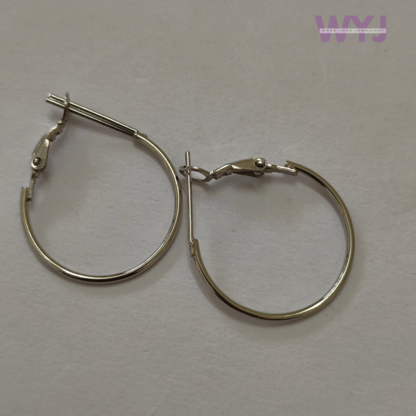 Earrings Classic Silver Hoop